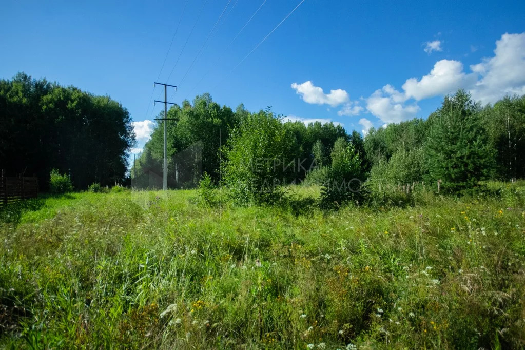 Продажа участка, Нижняя Тавда, Нижнетавдинский район, Нижнетавдинский ... - Фото 13