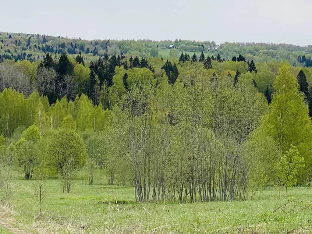 Продажа участка, Дмитровский район - Фото 5