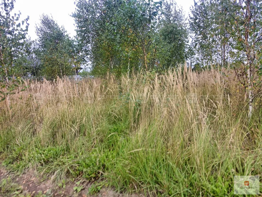 Продажа участка, Дачное, Высокогорский район, переулок Летний - Фото 4