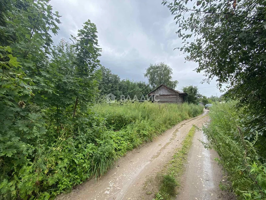 Вязниковский район, деревня Олтушево,  земля на продажу - Фото 2