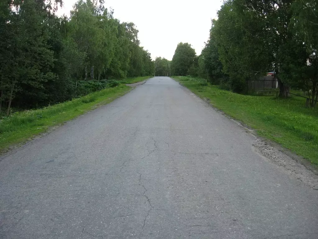 Около д. Д. подолы,Рузский район. Новокурово Рузский район. Деревня подолы Рузский район. Река Селявка Рузский район.