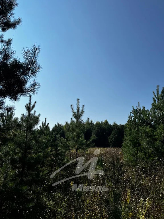 Продажа участка, Бисерово, Богородский г. о. - Фото 7