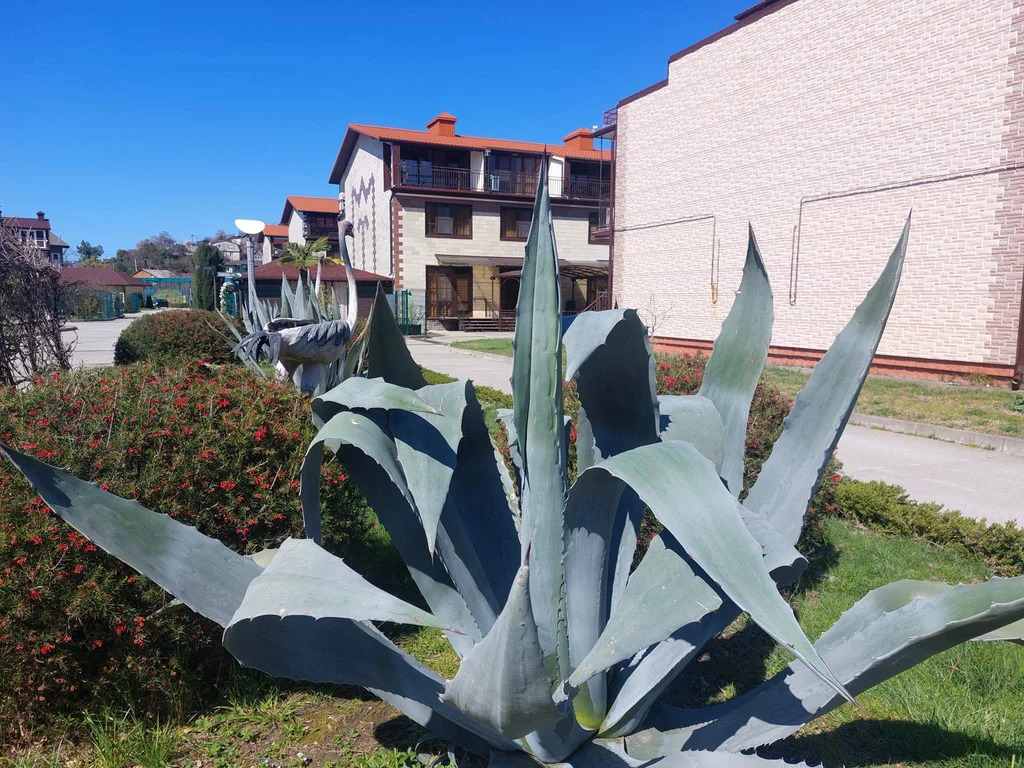 Таунхаус 88.6 м2 в Сочи, Лазаревсикй район - Фото 2