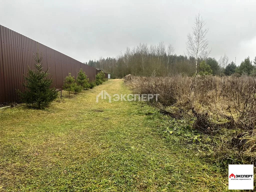 Земельный участок, д. Ефимово - Фото 5