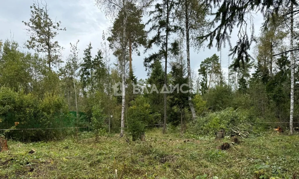 городской округ Солнечногорск, село Алабушево, микрорайон Дедёшино, ... - Фото 6