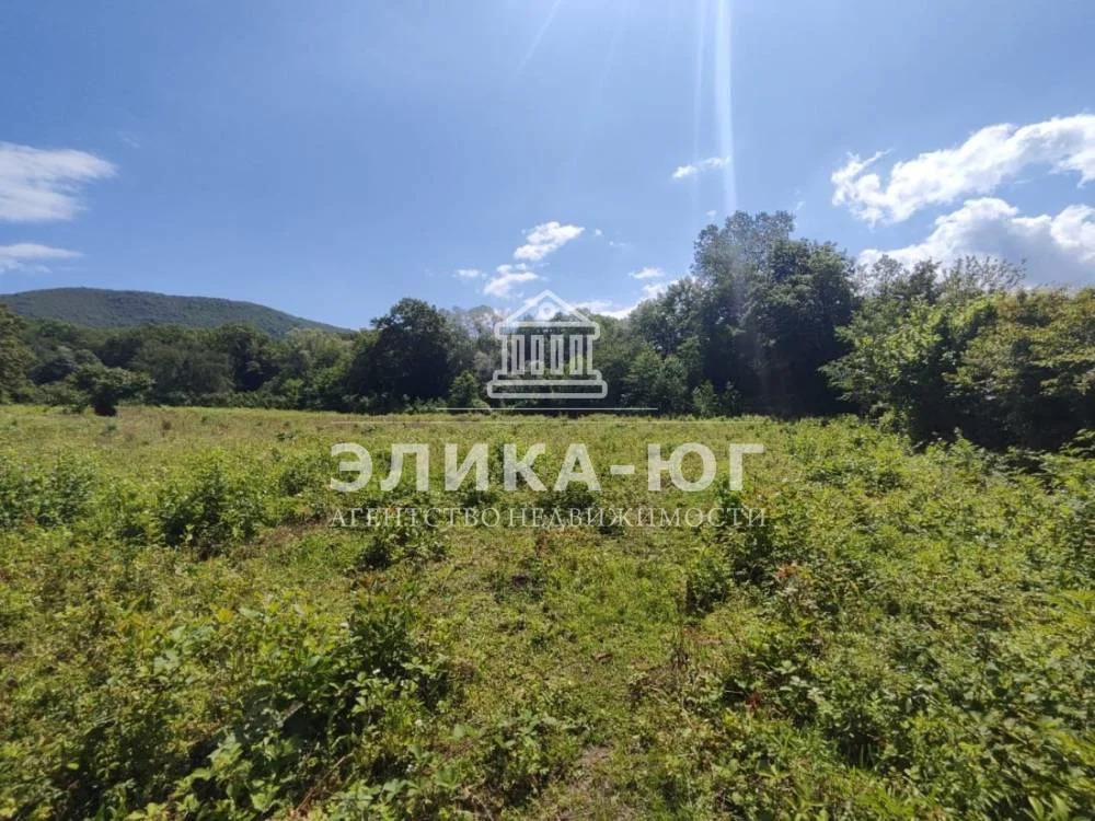 Продажа участка, Молдовановка, Туапсинский район - Фото 4