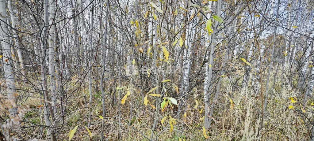 городской округ Владимир, Владимир, Октябрьский район, микрорайон ... - Фото 3