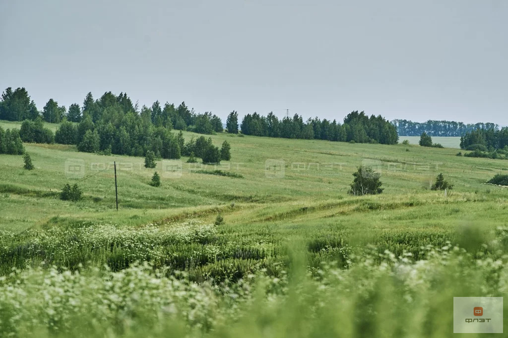 Продажа участка, Среднее Девятово, Лаишевский район, дом 102 - Фото 8