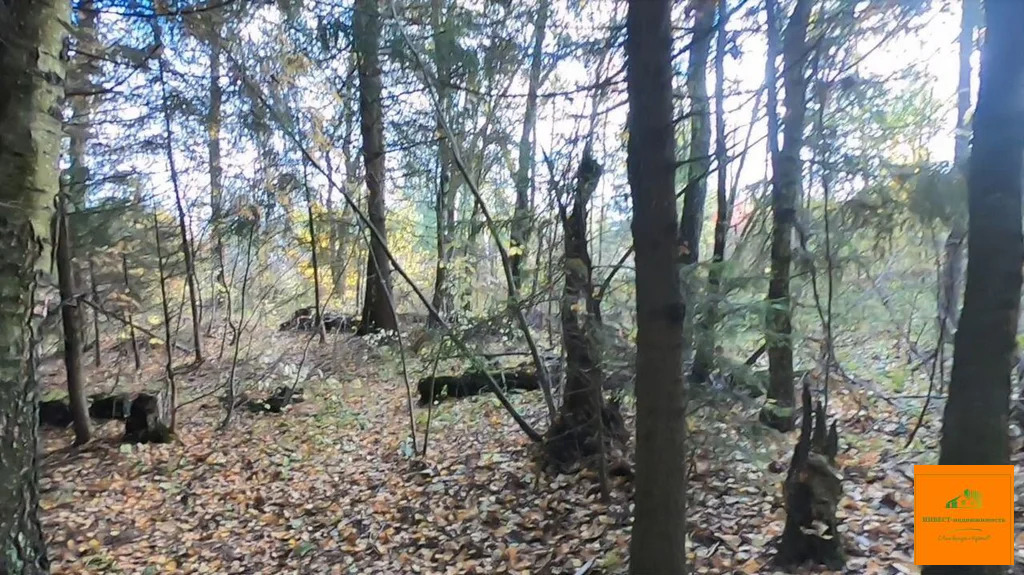 Продажа участка, Плесенское, Наро-Фоминский район - Фото 11