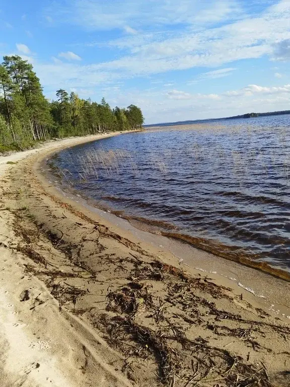 Дача в с/т "Прогресс", республика Карелия. - Фото 33