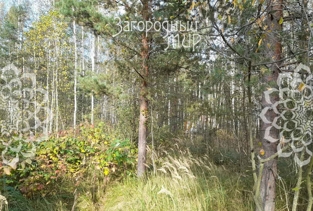 Продам участок, Дмитровское шоссе, 85 км от МКАД - Фото 9