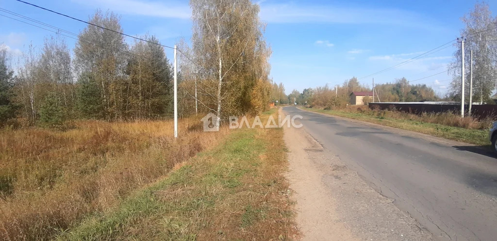 Суздальский район, село Баскаки,  земля на продажу - Фото 2