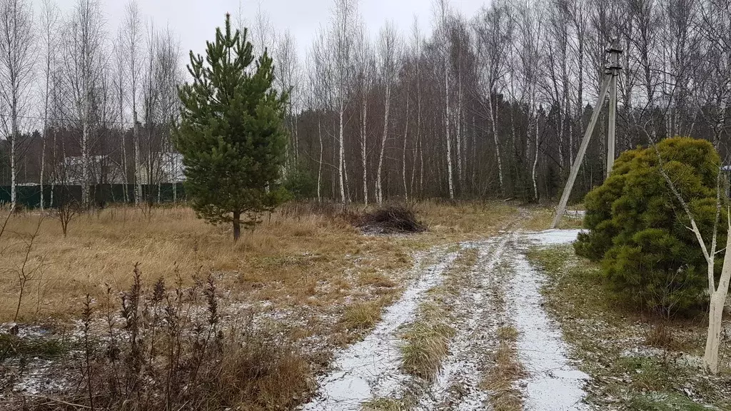 Кадастровая карта скурыгино чеховский район