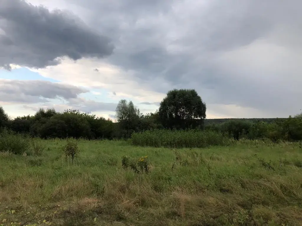 Эксклюзивные участки на первой линии р. Ока, д. Прилуки, г. Серпухов - Фото 9