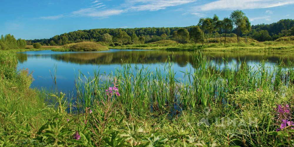 земельный участок боровском районе. земельный участок боровском районе. боровск солнечная долина. снт рязанцево мк-24. дом возле озера в боровом районе калужской области.