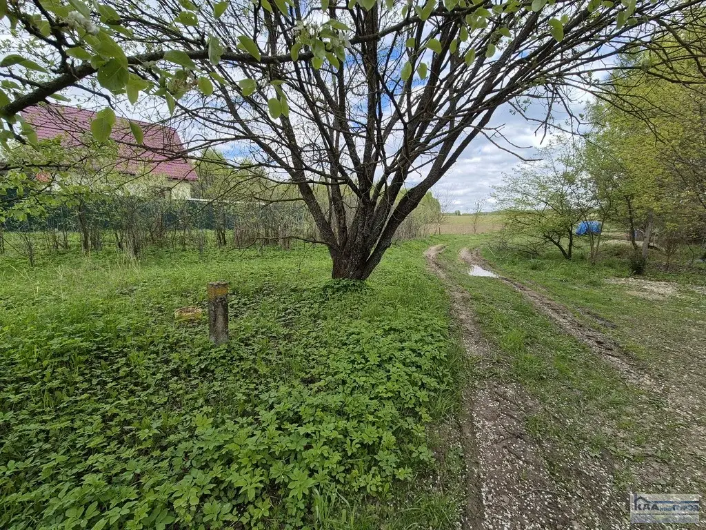 Участок 10 сот. ПМЖ д. Шемякино, Боровский р-н - Фото 4