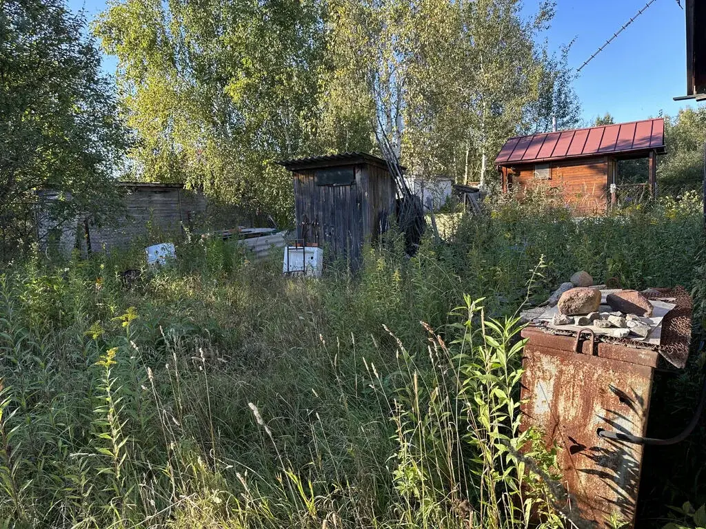 участок 8 соток московская область орехово-зуевский район сдт янтарь - Фото 3