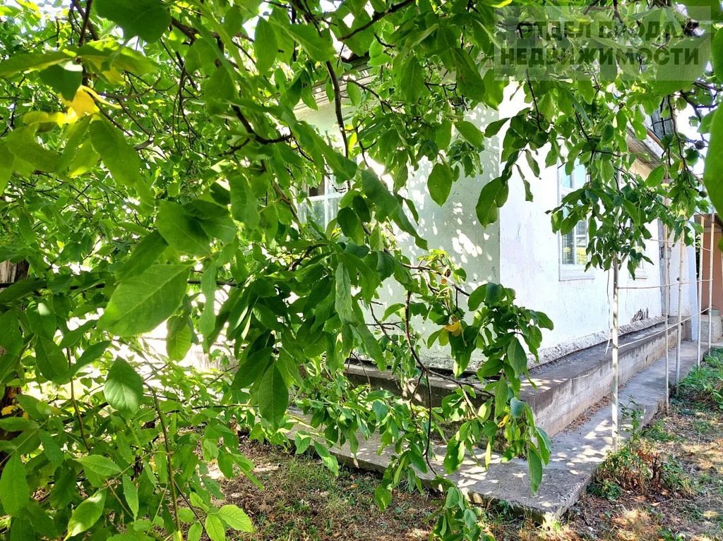 Дом на двух хозяев - Фото 1