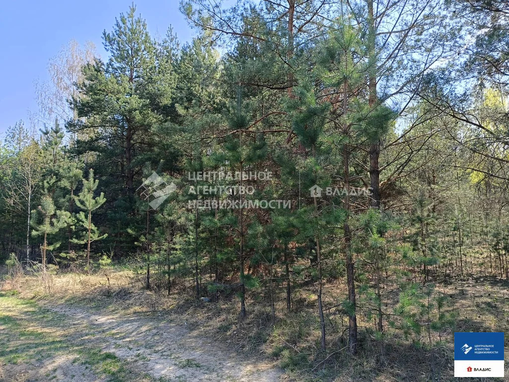 Продажа участка, Спасский район, садоводческое товарищество Луч-1 - Фото 3