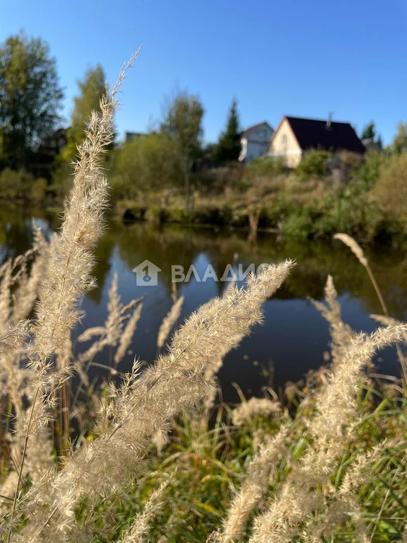 Одинцовский городской округ, деревня Лапино,  земля на продажу - Фото 0