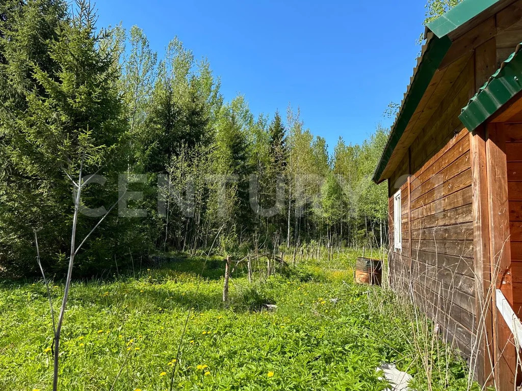 продажа дома, снт надежда массива радофинниково, тосненский район, снт . - Фото 17