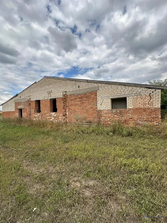 Продажа производственного помещения, Раздольное, Новоалександровский ... - Фото 4