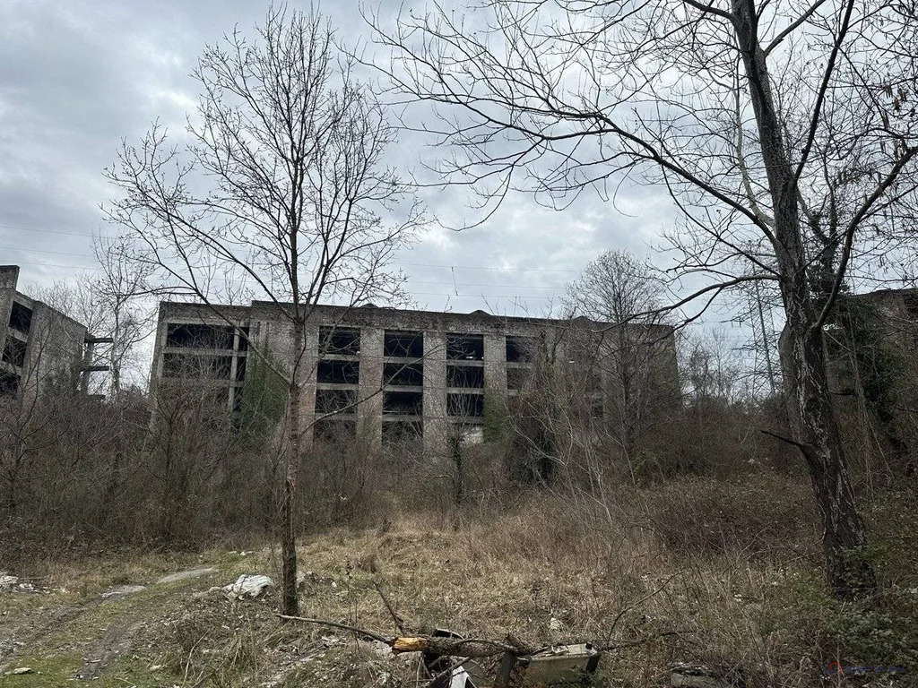 Продажа участка, Сочи, ул. Главная - Фото 6