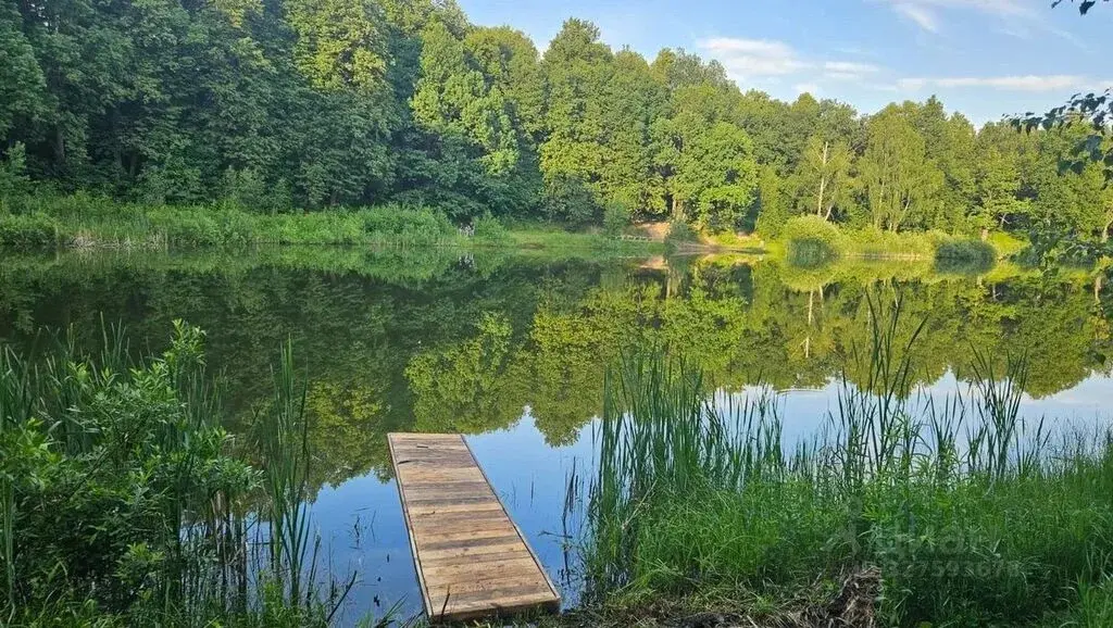 Продаю участок 5.5 сот. Московская область, Домодедово городской ... - Фото 3