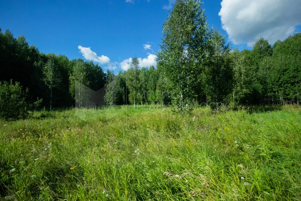 Продажа участка, Нижняя Тавда, Нижнетавдинский район, Нижнетавдинский ... - Фото 0