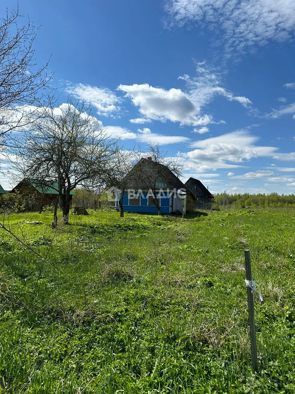 Лужский район, деревня Госткино, Центральная улица,  дом на продажу - Фото 2