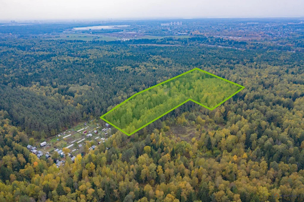 Продажа земельного участка, Лесной - Фото 3