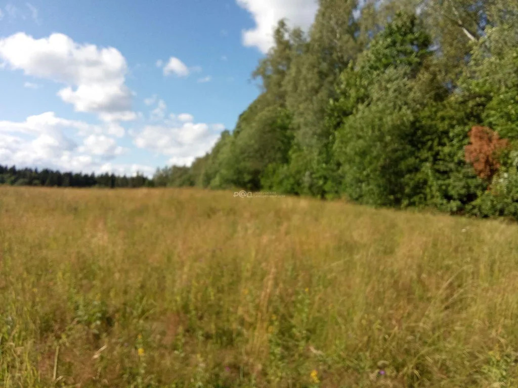 Продажа готового бизнеса, Шаховская, Шаховской район, Московская обл. - Фото 0