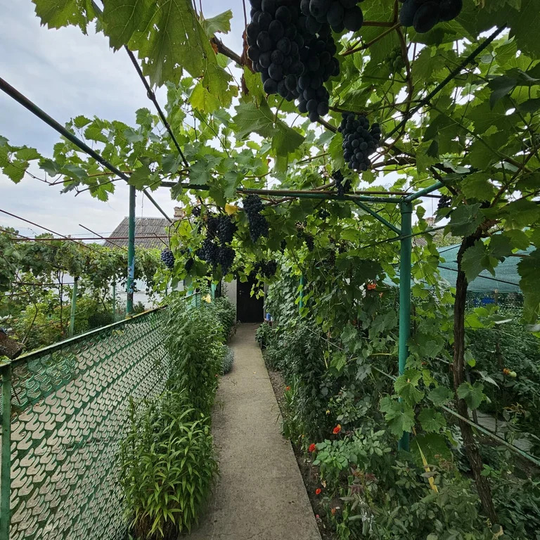 Продажа дома, Пролетарий, Абинский район, ул. Юбилейная - Фото 1