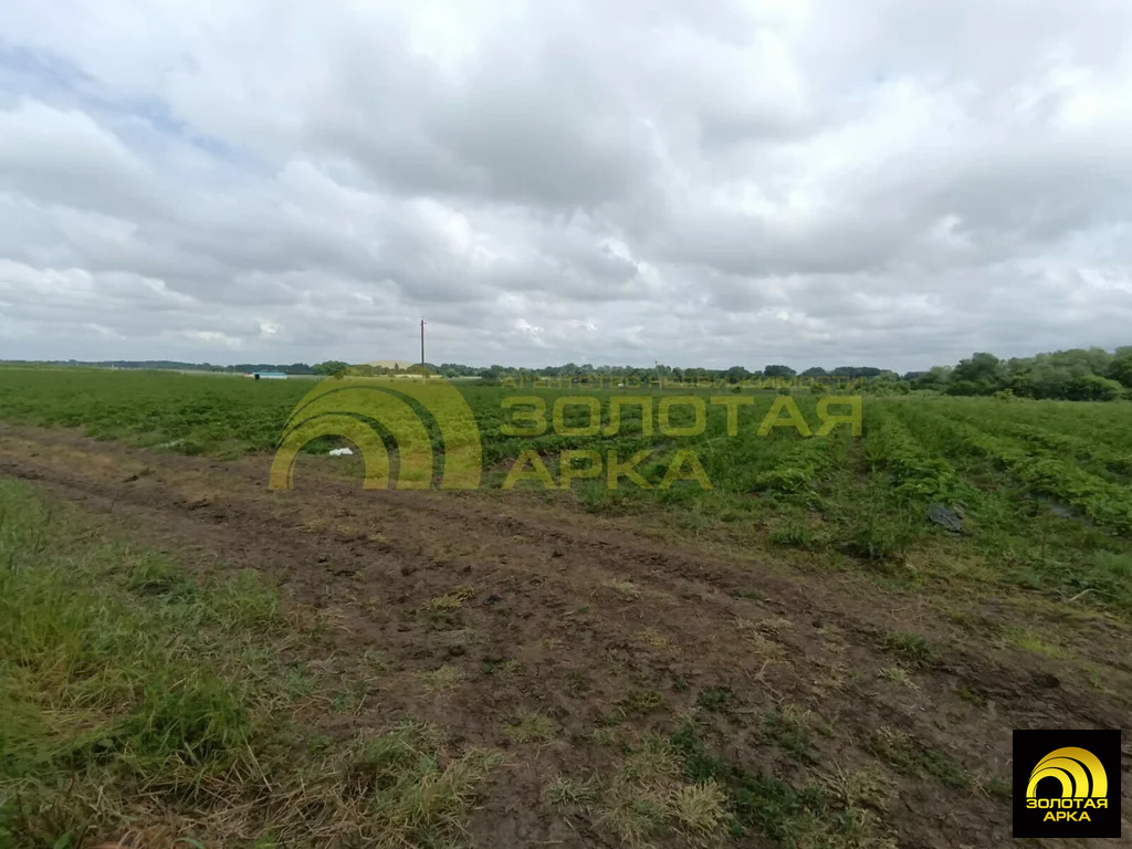 Продажа участка, Светлогорское, Абинский район - Фото 19