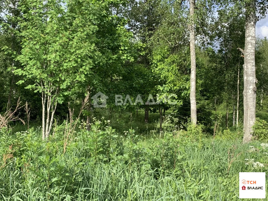 Продажа участка, Дмитровский район, улица Братьев Политовых - Фото 8