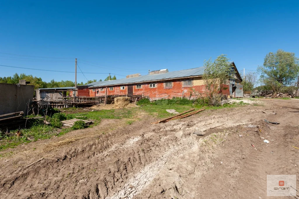 Продажа склада, Пестрецы, Пестречинский район, ул. Осипова - Фото 7