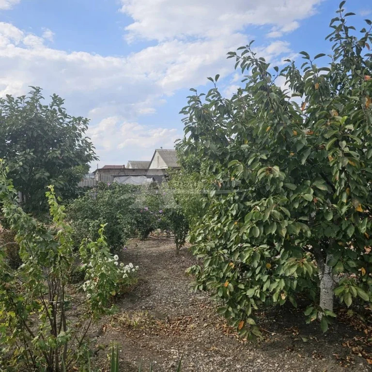 Продажа дома, Георгиевск, ул. Пролетарская - Фото 15