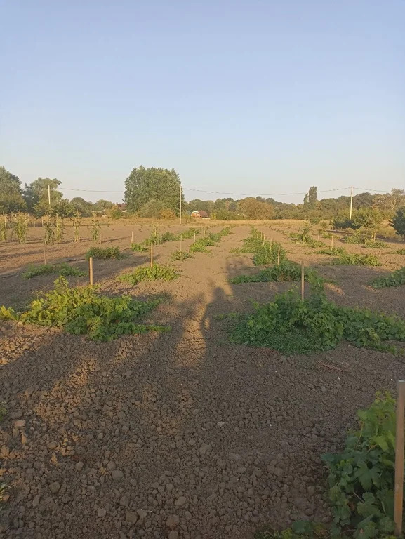 Продажа участка, Оазис, Северский район, переулок Карасунский - Фото 3