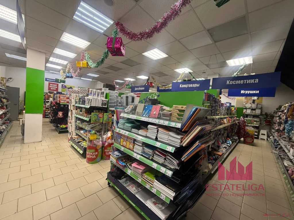 Аренда ПСН, ул. Дмитриевского - Фото 20