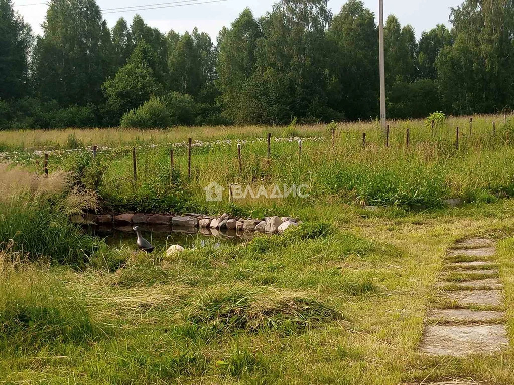 городской округ Семёновский, деревня Шалдеж, улица Красный Краек,  дом ... - Фото 6