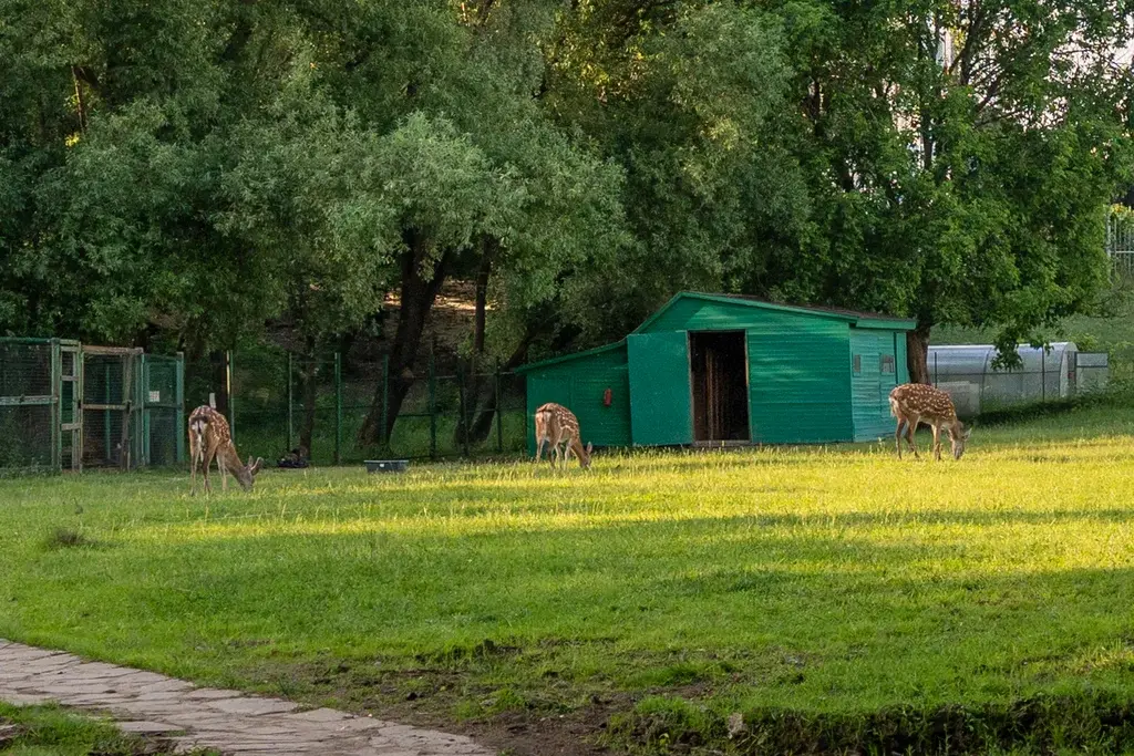 Сдам офис 390,3 м2 в ЖК Миракс-Парк - Фото 39