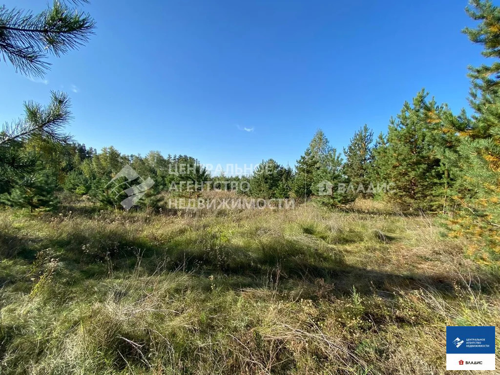 Продажа участка, Рязанский район - Фото 4