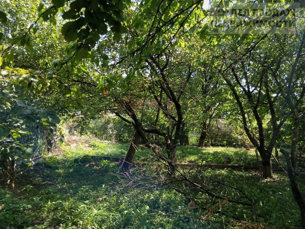 Объект 537559 - Фото 7