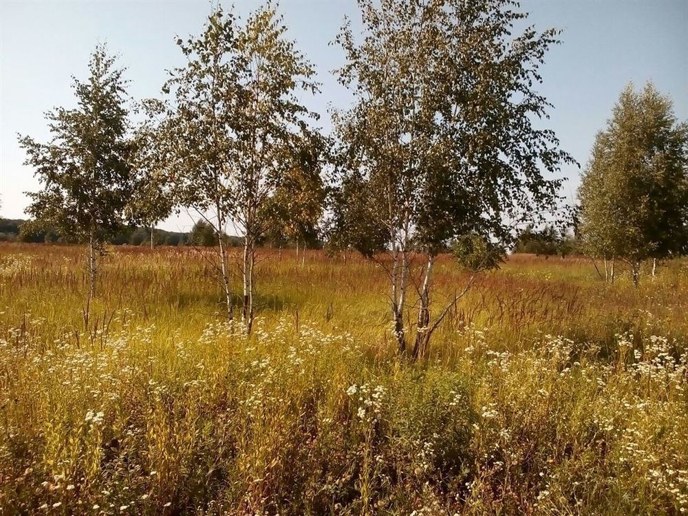 Купить Участок Земли Карпово Раменский Район