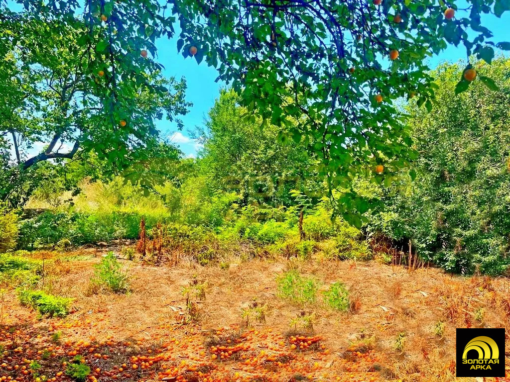 Продажа участка, Варениковская, Крымский район, ул. Береговая - Фото 5
