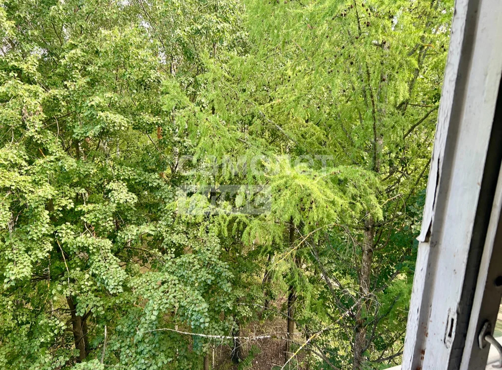 Продажа квартиры, Дмитров, Дмитровский район, ДЗФС мкр. - Фото 25