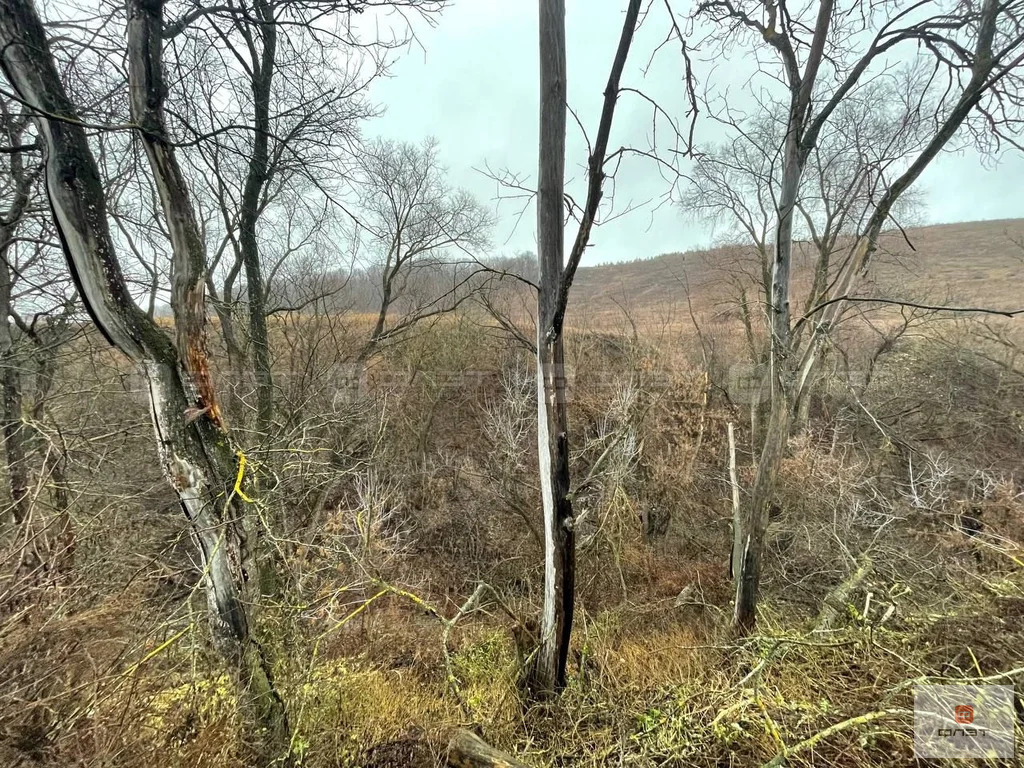 Продажа участка, Медведково, Верхнеуслонский район, ул. Садовая - Фото 10