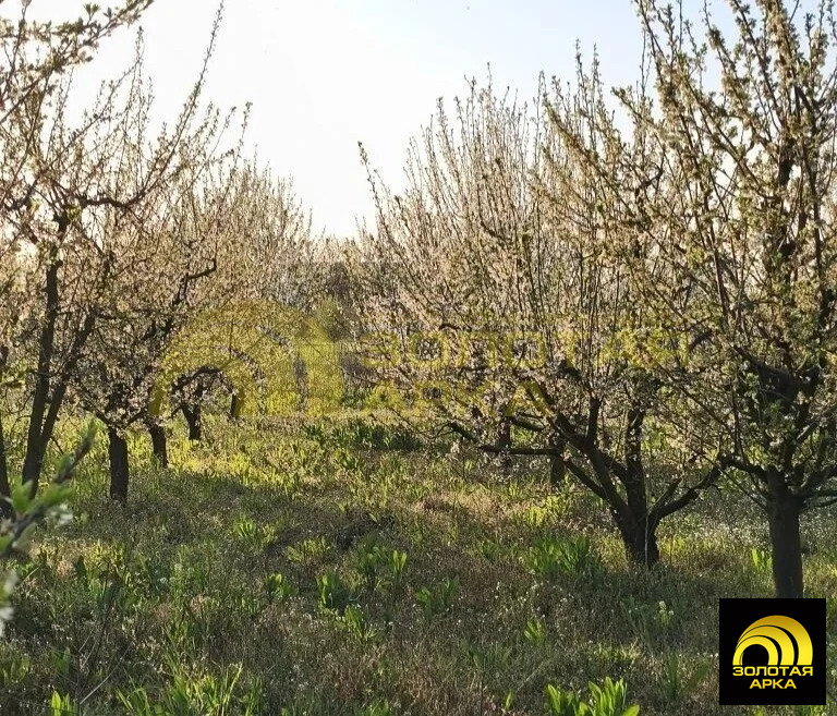 Продажа участка, Крикуна, Красноармейский район, ул. Гоголя - Фото 6