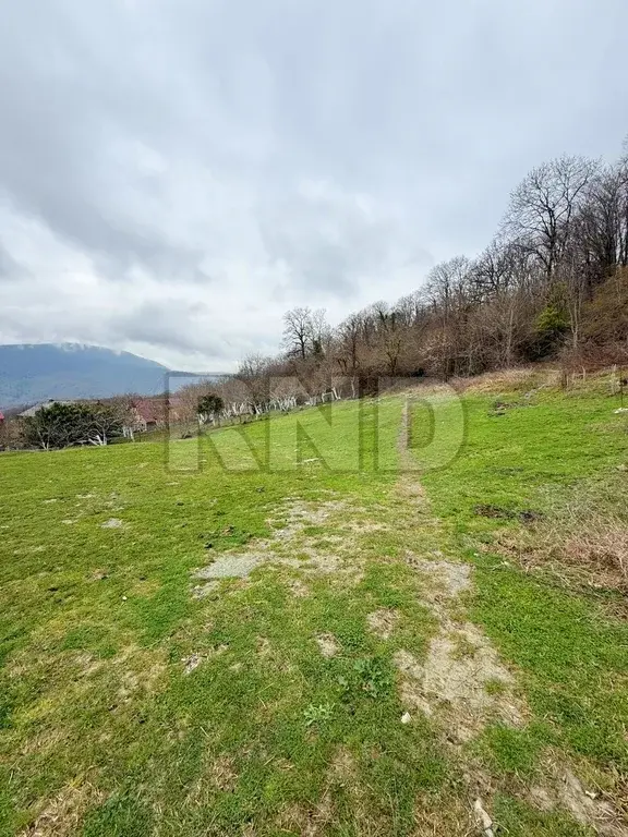 Адлерский район, 10 км от моря, с. Красная Воля, участок 4,6 сотки - Фото 3