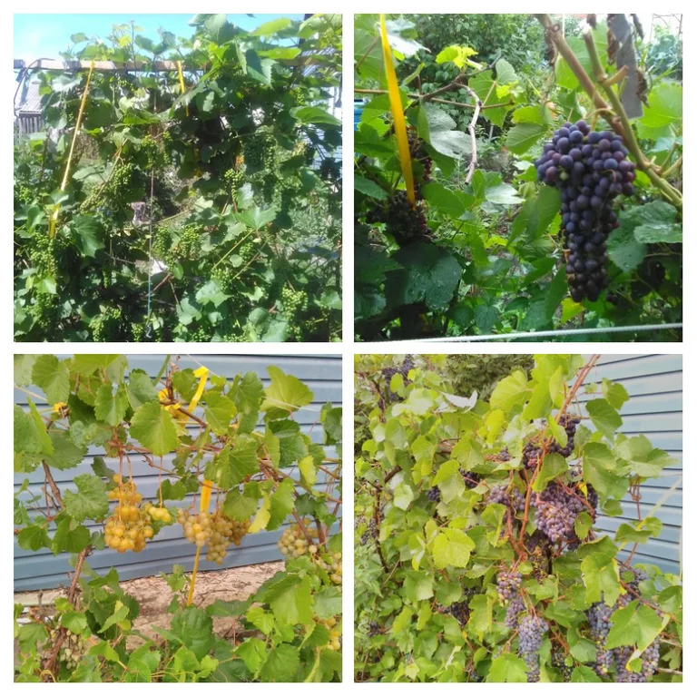 Купить Дом В Копейске Поселок Бажова